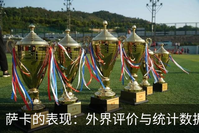萨卡的表现：外界评价与统计数据的对比